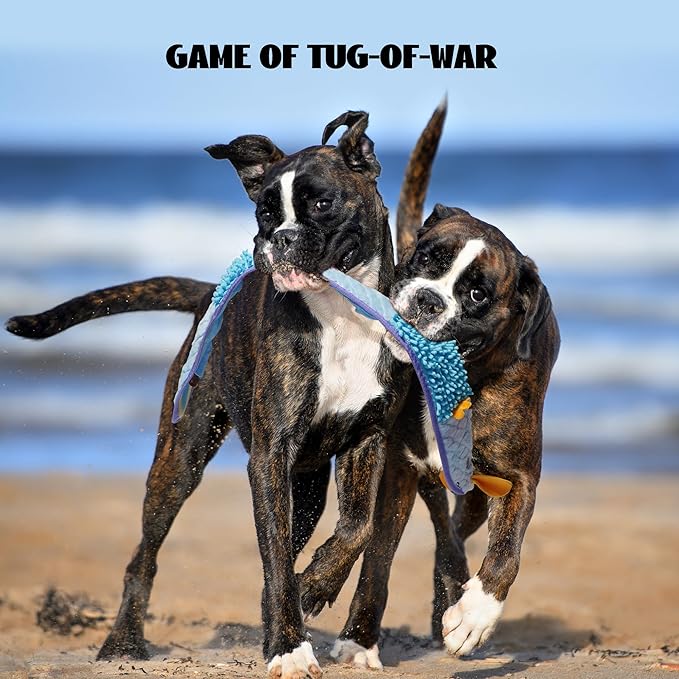 Nocciola EEL Squeaky Dog Toy, Tough No Stuffing Toy for Tug of War, Puppy Interactive Puzzle Fun to Keep Them Busy, Cognitive Crinkle Dog Toy for Large Medium Small Breed, Blue&Yellow