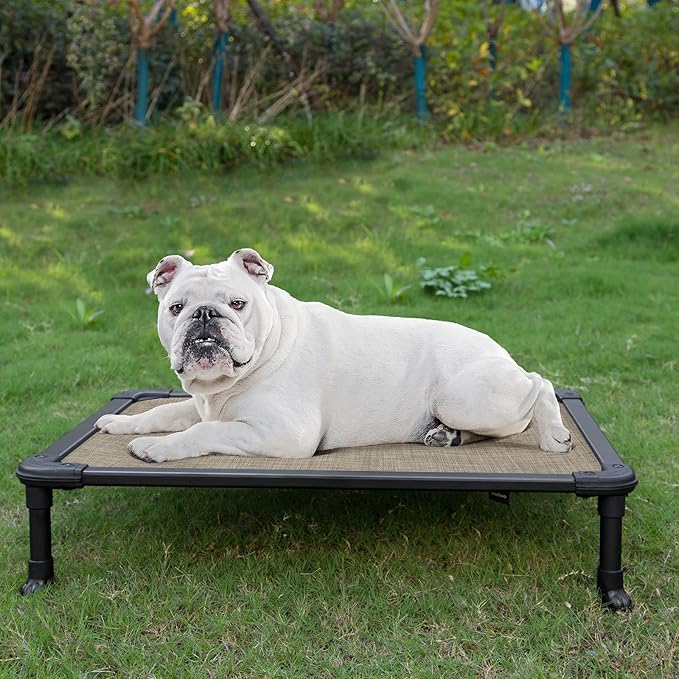 Veehoo Chew Proof Elevated Dog Bed - Cooling Raised Pet Cot - Rustless Aluminum Frame and Durable Textilene Mesh, Unique Designed No-Slip Feet for Indoor or Outdoor Use, Beige Coffee, Medium