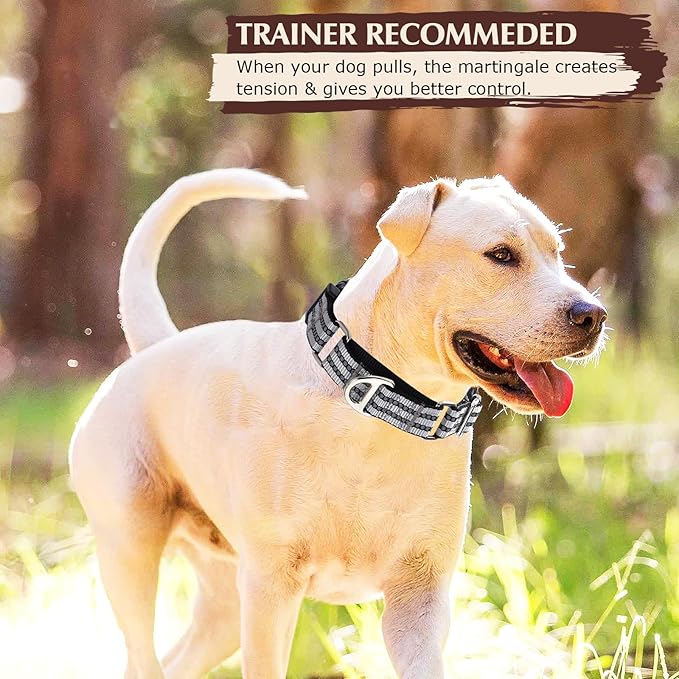 Martingale Collar for Dogs - Reflective Nylon No Slip Choke Heavy Duty Collar with Quick Release Buckle -Safe Fit for Training & Walking Silver L