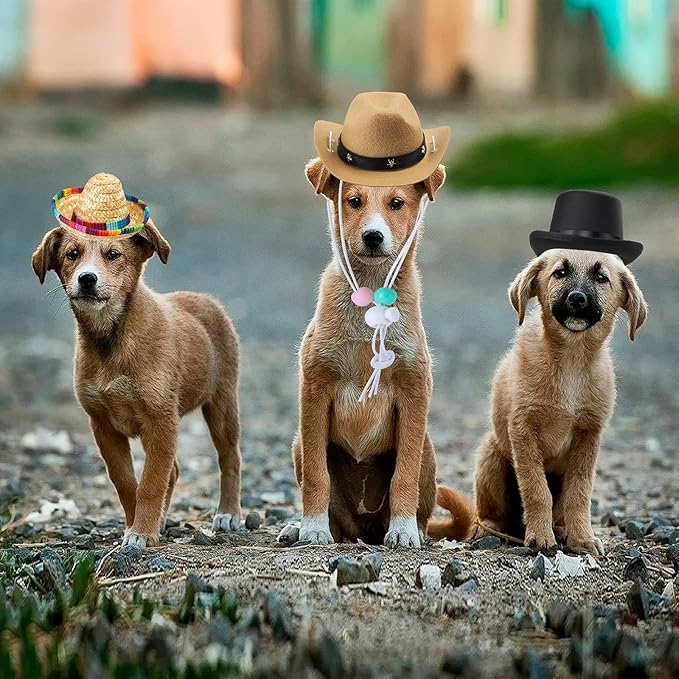 Yewong 3 Pieces Pet Hat Pet Formal Top Hat Mexico Sombrero Hat Cowboy Hat Dog Cat Pet Costume Hat for Halloween Party Photo Props Supplies one Size