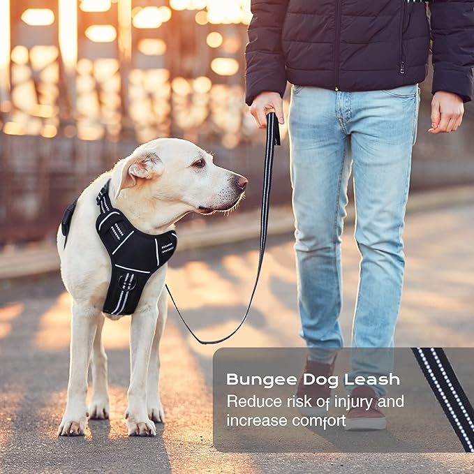 No Pull Dog Harness for Medium Dogs, Adjustable No Choke Pet Vest with Dog Leash Fit Smart Reflective Pet Walking Harness for Training Easy Control Soft Handle Black M
