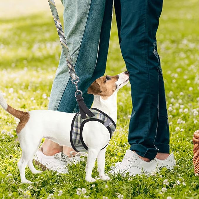 PUPTECK Adjustable Dog Harness Collar and Leash Set Step in No Pull Pet Harness for Small Medium Dogs Puppy and Cats Outdoor Walking Running, Soft Mesh Padded Reflective Vest Harnesses, Grn&YLW, M