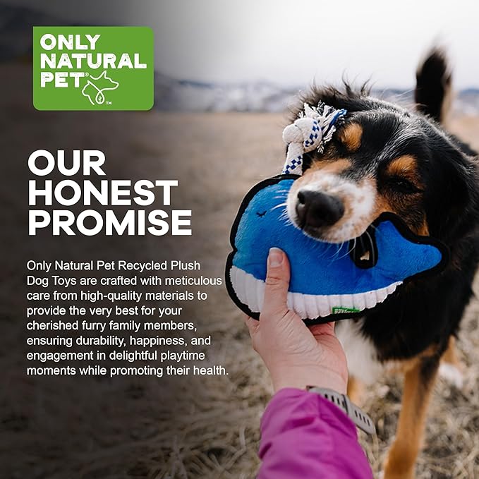 Only Natural Pet Sea Creatures Recycled Plush Dog Toys - Durable Double-Stitched Design with Internal Squeaker, Rope Tug Blow Hole & Ribbed Belly - Squeaky Pet Toy | Winston The Whale, 8.5" x 7.5"