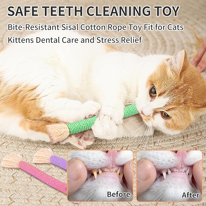 Retro Shaw Cat Toys Ropes with Catnip 6Pcs, Safe Teething Cleaning Kitten Toys for Indoor Cats Kitty, Interactive Cat Nip Chew Toys Kicker