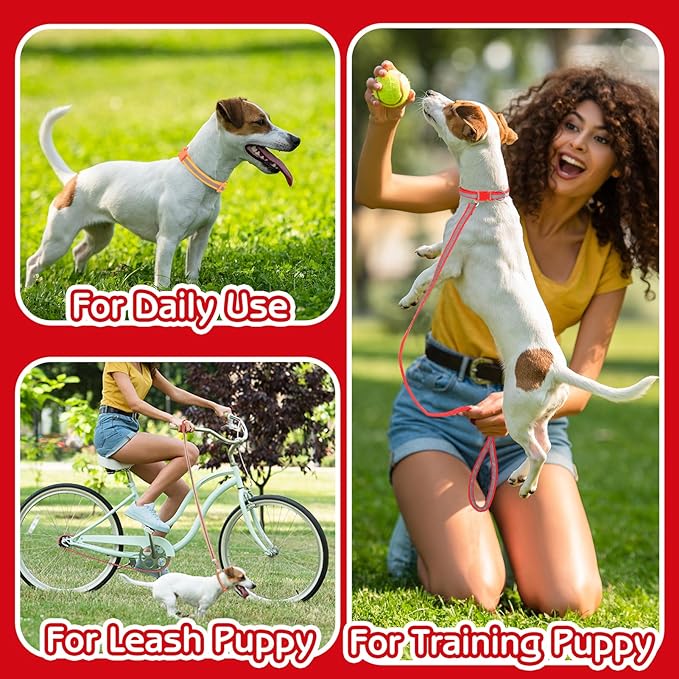 36 Pcs Reflective Puppy Collar and Leash Set, Dog Collar and Leash Adjustable Puppy Collars Quick Release Clip Buckle Dog Collar for Small Medium Dogs Walking Training