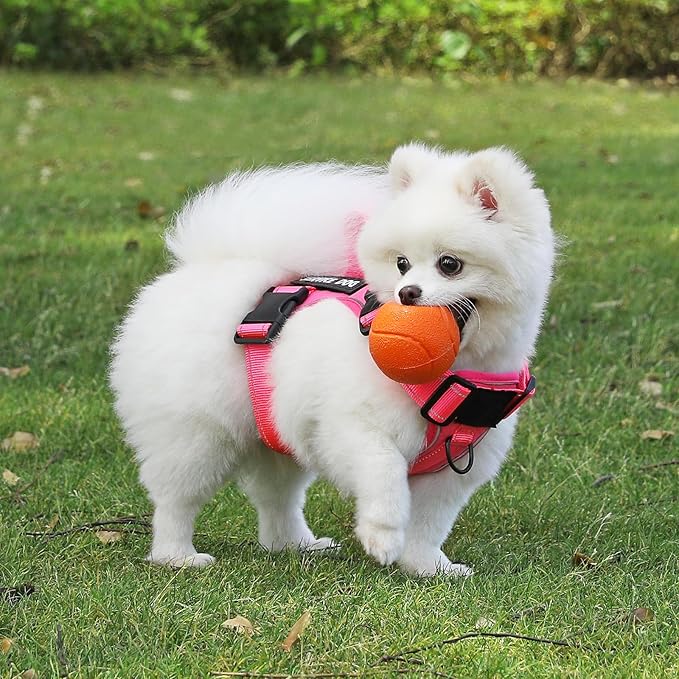 Demigreat Reflective Dog Vest Harness with 5 PCS Patches, Adjustable Soft Oxford Dog Harness, Inner Layer Mesh, Prevent Pulling and Choking, Small (HotPink)