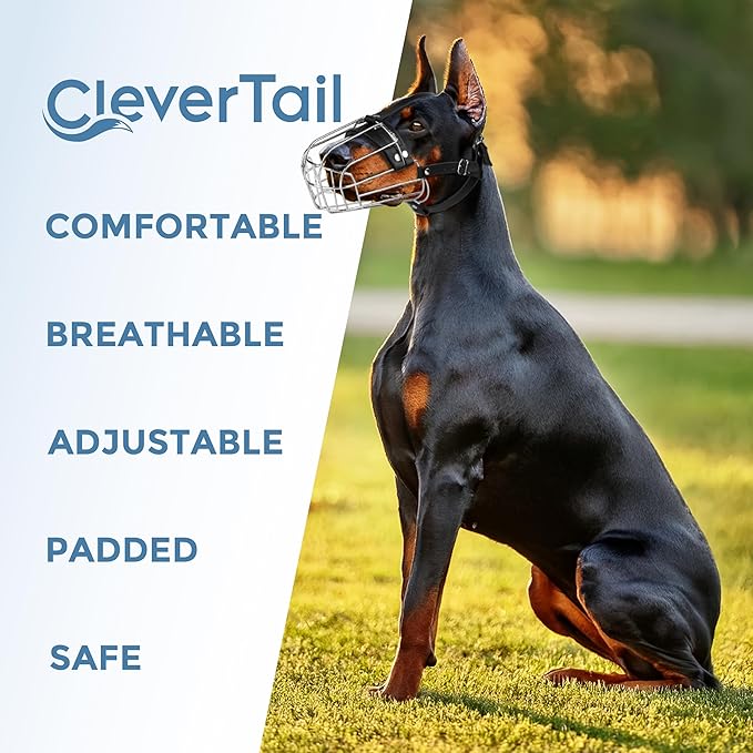 Metal Doberman Muzzle for Large Sized Dog - Cage Muzzles for Barking and Prevent Biting - Steel Wire Basket Muzzle for Medium and Large Dogs Doberman, Collie, Belgian Malinois, Husky etc.