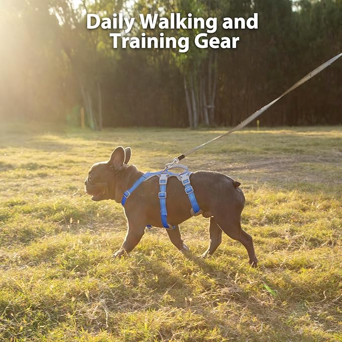 Huntboo Escape Proof Dog Harness, No Pull Reflective Harness with Lift Handle,Adjustable Pet Vest with Front and Back Leash Clips for Small Medium Large Dogs Walking Hiking Training (Sea Blue,L)