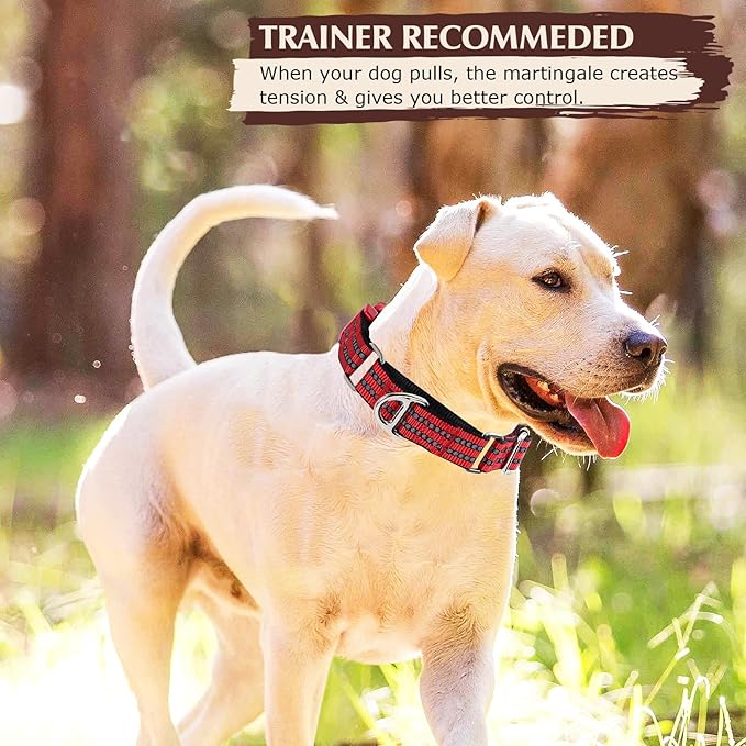 Martingale Collar for Dogs - Reflective Nylon with Padded Comfort & Quick Release Buckle - No Slip Choke Heavy Duty Collar for Safe Training, Walking & Nighttime Use Red L