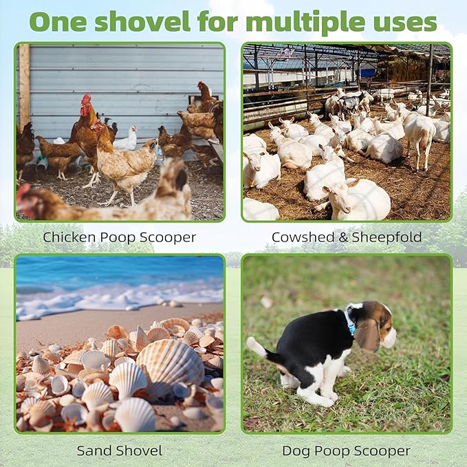 Jusoney Heavy-Duty Chicken Poop Scooper with 4-in-1 Adjustable Handle (35"-61") - Sturdy Stainless Steel and Iron Construction for Large Chicken Coop - Ergonomic Design & Easy Cleaning