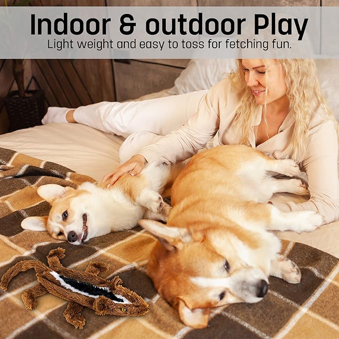 FGA MARKETPLACE Duck-Squirrel Flat NO Stuffing NO Squeak Plush Dog Toy, Funny Style Will Entertain Your Pet for Hours, Recommended for Small and Medium Dog 21 INCH Long