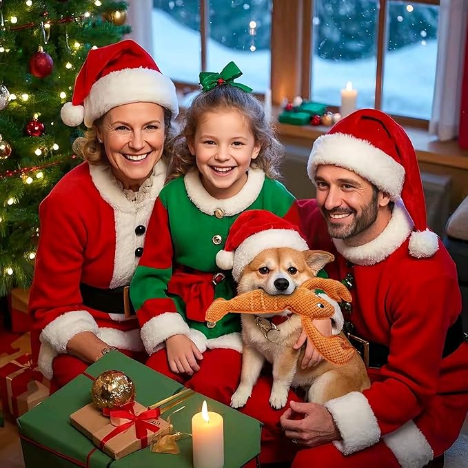 Squeaky Dog Toy No Stuffed Dog Toys,Lobster Puppy Toys for Small Medium Large Breed pups Teething Interactive Toy to Keep Them Busy, Best Christmas Birthday Gift