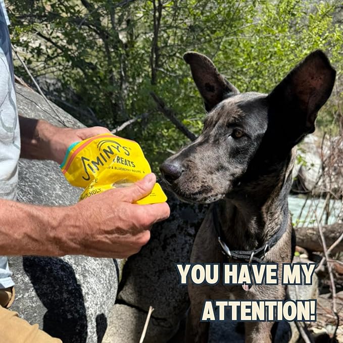 Jiminy's Crunchy Peanut Butter & Blueberry Dog Treat, Hypoallergenic, Prebiotic, Tummy Friendly, Low Calorie, Alternative Cricket Protein, Sustainable, 5oz (Pack of 1)