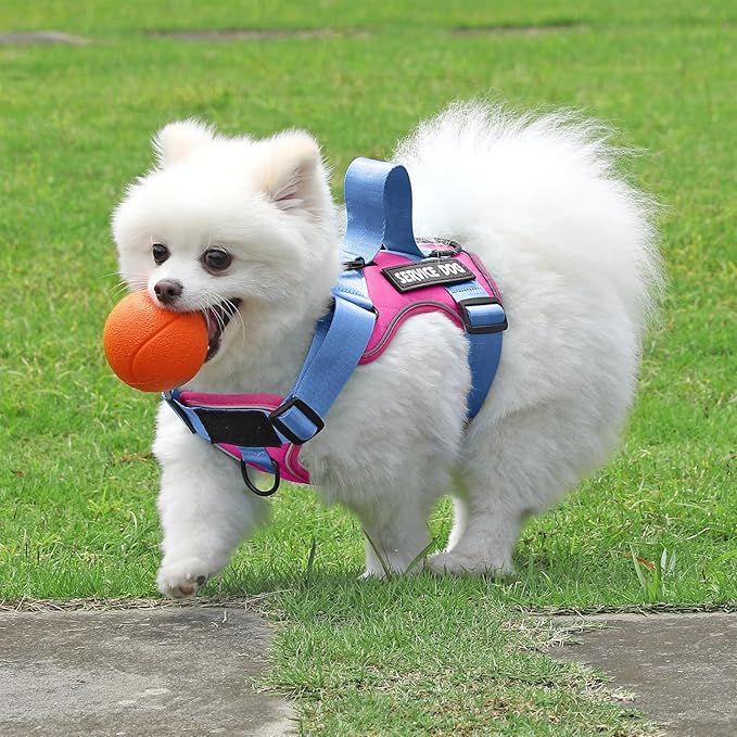 Demigreat Service Dog Harness, Reflective Dog Vest Harness with 5 PCS Patches, Adjustable Soft Oxford Pet Harness, Inner Layer Mesh, Easy to Control for Small Medium Large Dogs