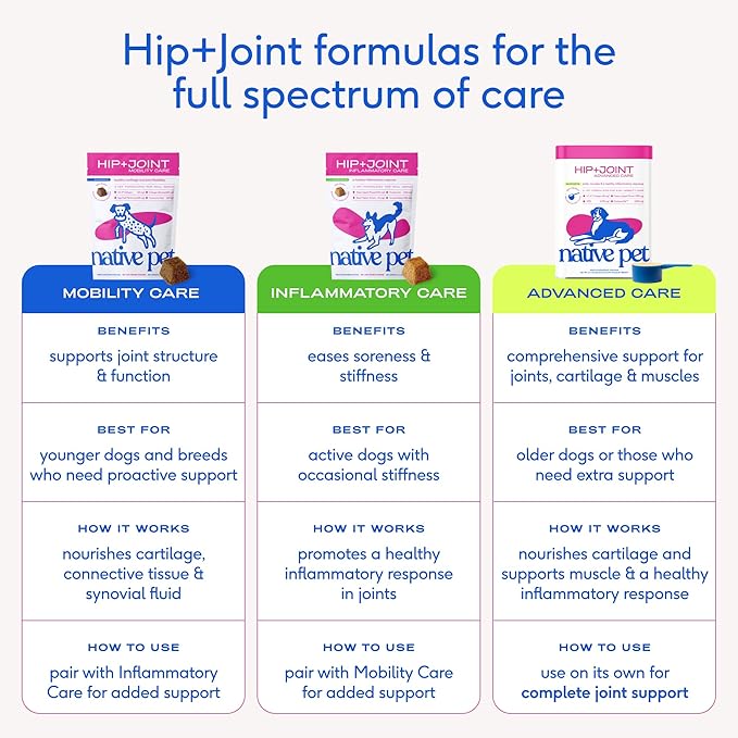 Native Pet Advanced Care - Hip & Joint Supplement for Dogs - Supports Joints, Cartilage, Muscles & Anti-Inflammatory with HMB, UC-II Collagen, Green Lipped Mussel & Hyaluronic Acid - 60 Scoops