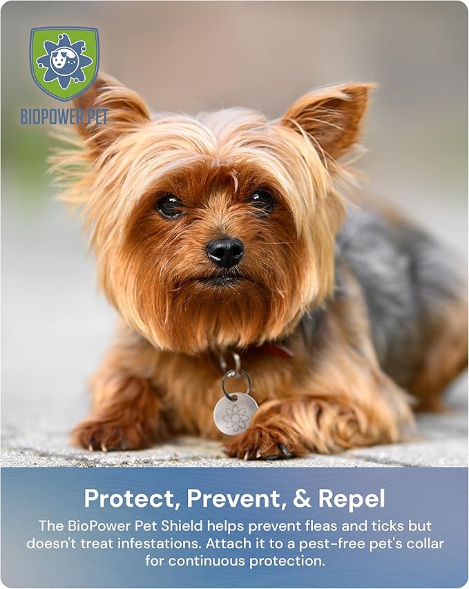 Natural Flea & Tick Repellent Collar Tag for Dogs & Cats – BioPower Pet Shield – Safe for Pets When Used as Directed – Lasts 1 Full Year - Regular Tag (1Pack)