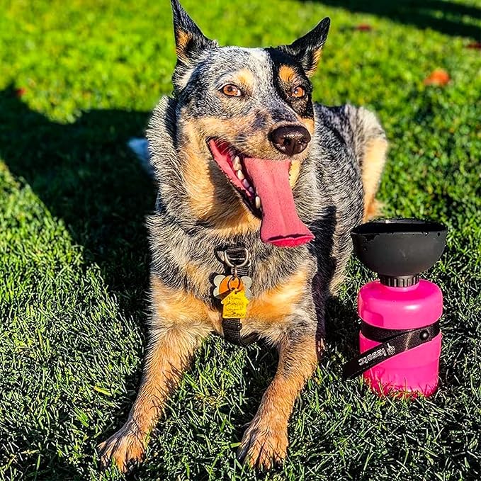 Lesotc Dog Water Bottle, Portable Pet Dispenser with Water Bowl, Leak Proof Pet Travel Squeeze Bottle, Puppy Essentials Dog Stuff Accessories for Outdoor Walking, Hiking, Camping