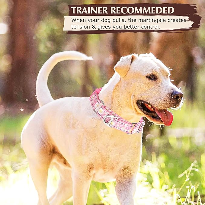 Martingale Collar for Dogs - Pink Daisy Reflective Nylon, No Slip Choke Heavy Duty Collar with Quick Release Buckle & Padded Comfort - Safe Fit for Training & Walking Small
