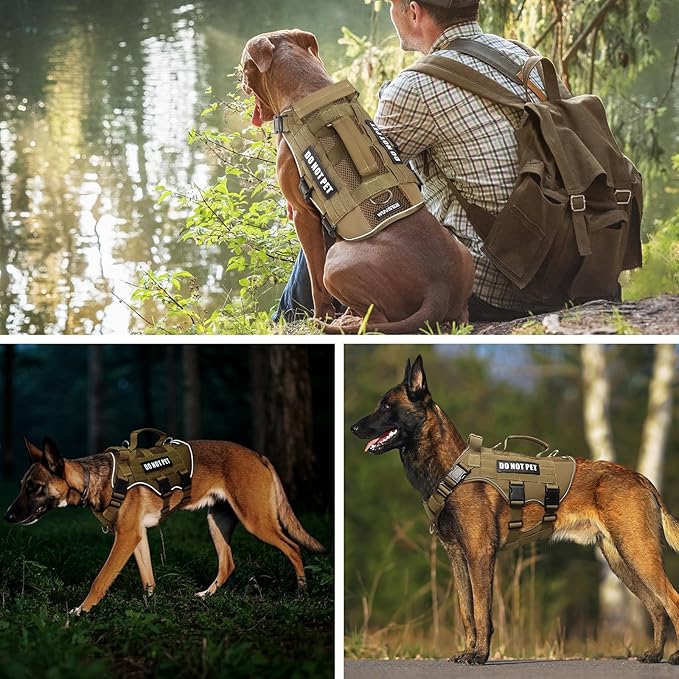 WINSEE Mesh Dog Harness with 10 Pet Patches for Small Service Dog in Training, Breathable Tactical Molle Vest with Double Handle, Reflective Military Pet Vest for Walking Hiking