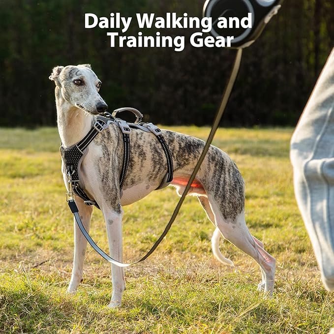 Huntboo Escape Proof Dog Harness, Secure Dog Harness No Escape, Fully Reflective Harness with Handle, Breathable, Durable, Adjustable Vest for Small Dogs Walking, Training, and Running Gear (Black,S)