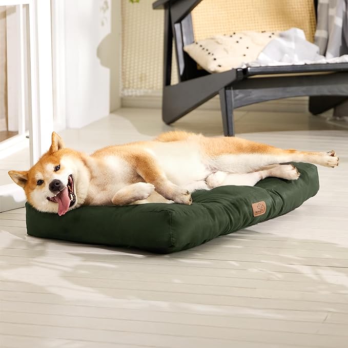 Bedsure Dog Bed Medium Size Dogs - Washable Pet Bed Mattress with Oxford Fabric, Water Resistant Flat Pet Pillow Cushion for Medium Dog Crate, 30x20x4, Lentil Sprout