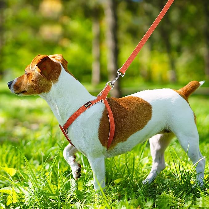 Plutus Pet Cotton Hemp Step in Dog Harness, Sustainable, Lightweight and Escape-Proof, Quick Fit Dog Harness for Puppy Small Medium and Large Dogs, Orange, XS