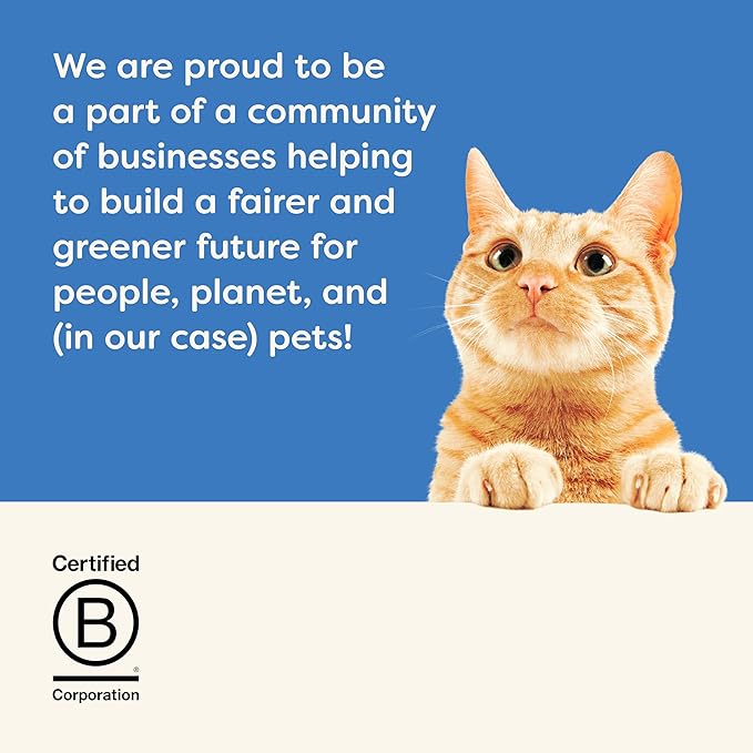 Applaws Natural Wet Cat Food in Broth, Limited and Natural Ingredients, High Protein with No Artificial Additives, Tuna Fillet & Shrimp in Broth (6 x 5.5oz Cans)