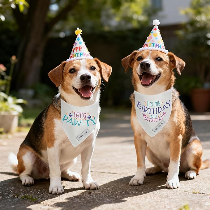 Realeaf Birthday Dog Bandanas 2 Pack (White, Large)