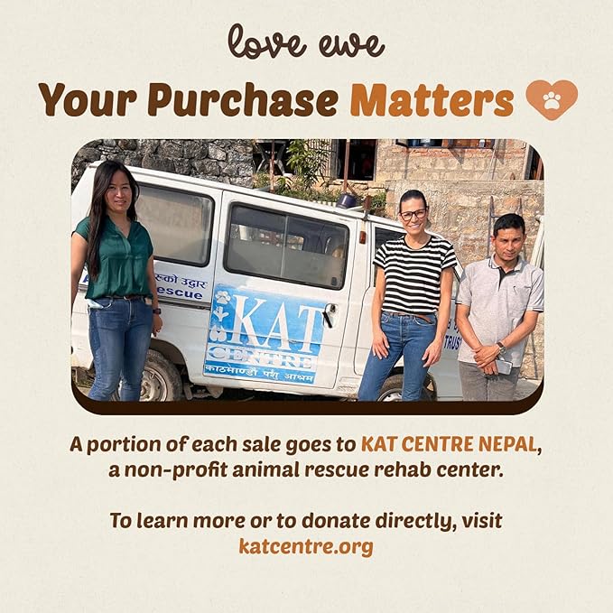 Wool Felt Balls 3 Pack Love Ewe Pet Supplies - 2 in Felted Wool Cat Toys 100% New Zealand Wools Felt Cat Toys Handmade Wools Felts Balls - Cats Felts Ball, Colorful Ball for Cats - Fish and Bird