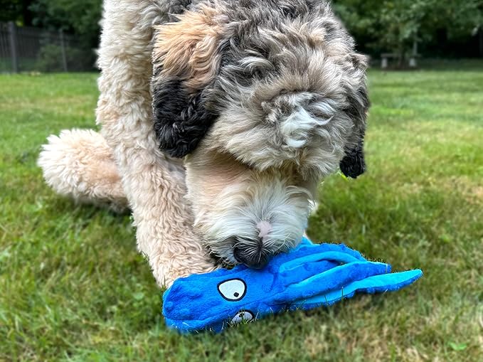 Octopus Dog Toy – Squeaky & Crinkle Plush – Durable No Stuffing Chew Toy for Small, Medium & Large Dogs – Interactive Pet-Safe Soft Toy for Tug, Fetch & Play – Blue– Tail Town