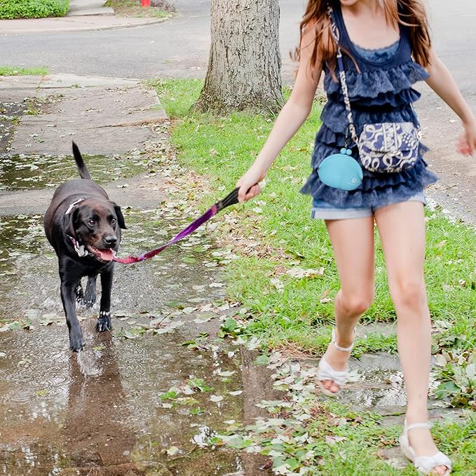 New Oasis Dog Treat Pouch, 10oz Small Portable Silicone Dog Training Pouch Reusable Dog Treat Bag with Carabiner Key Case Silicone Coin Pouch, Blue