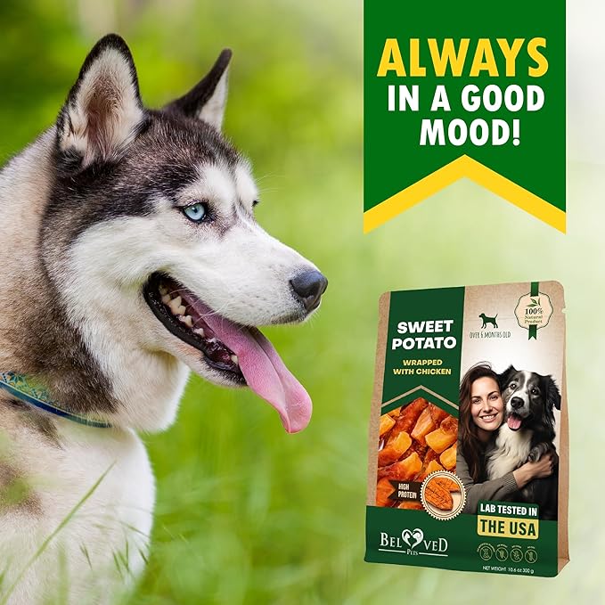 Dog Treats Sweet Potato Wrapped with Chicken 11 oz & Pet Natural Chew - Grain Free Dried Snacks in Bulk - Best Twists for Training Small & Large Dogs - Made for USA