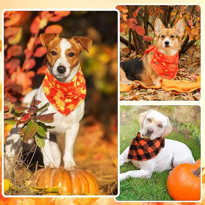 Sweetude 100 Pieces Fall Dog Bandanas Bulk,Thanksgiving Bandanas for Dogs Pumpkin Maple Leaves Pattern Puppy Triangle Scarf Bibs for Medium Small Pet Autumn Costume Accessories(25.6 x 17.7 x 17.7)