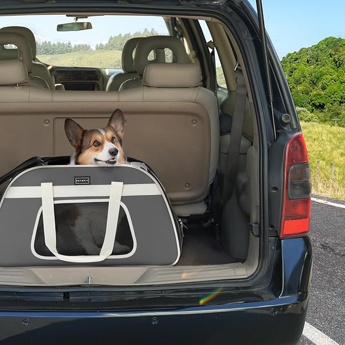 PETSFIT Large Pet Carrier with Wheels Designed for 2 Small Dogs/Multiple Kittens/Medium Dogs with Adjustable Safety Rope & Waterproof Bottom(๐ต๐๐ ๐๐๐๐๐๐๐ ๐๐๐๐๐๐๐๐
)