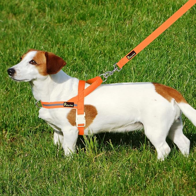 Plutus Pet Cotton Dog Harness and Leash Set, Reflective and Soft Padded, Quick Fit Vest Harness, for Small, Medium and Large Dogs, Orange, M