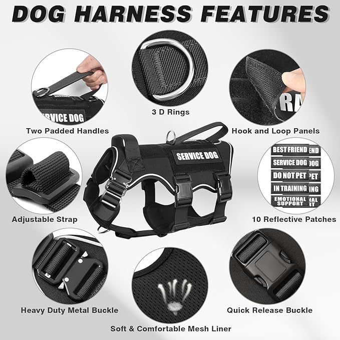 Tactical Service Dog Vest and Leash Set,Heavy Duty Harness with Metal Buckles for Large Dogs,Adjustable No Pull Pet Vest with 10 Patches,for Training Working Hiking,Black L