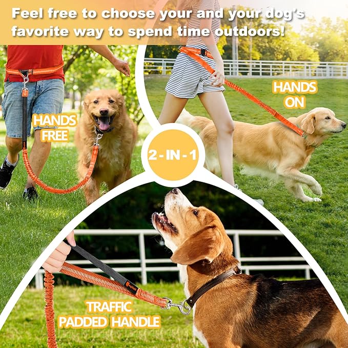 Hands Free Dog Leash, Adjustable Waist Leash for Dog Walking, Dual Bungee 4.2-6.7 Feet Long with Reflective Stitches for Walking Hiking Running, Fits 26"- 43" Inch Waist, Orange