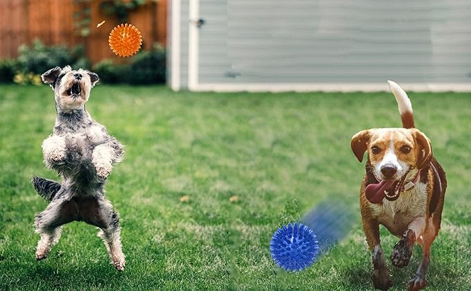 Jalousie Dog Squeaky Toys Value Set Non-Toxic Squeaky Balls Toss Fetch TPR Rubber Puppy Toys Spikey Dog Chew Toy for Small Medium Breed Pet Toys for Puppy (3 Pack Spiky Balls)