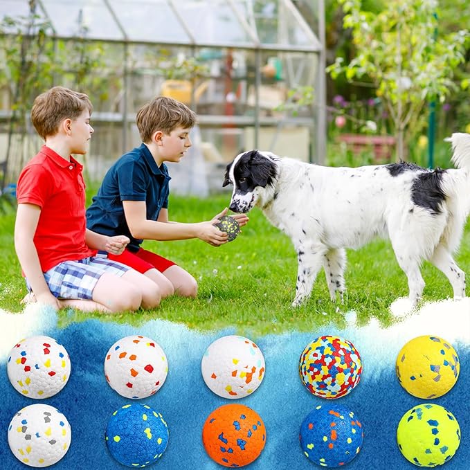 Lenwen 10 Pcs Dog Toy Ball for Aggressive Chewers Interactive Dog Ball for Boredom and Stimulating Bouncy Floating Rubber Toy for Large Medium Small Puppy(2.5 Inch,Glitter Color)