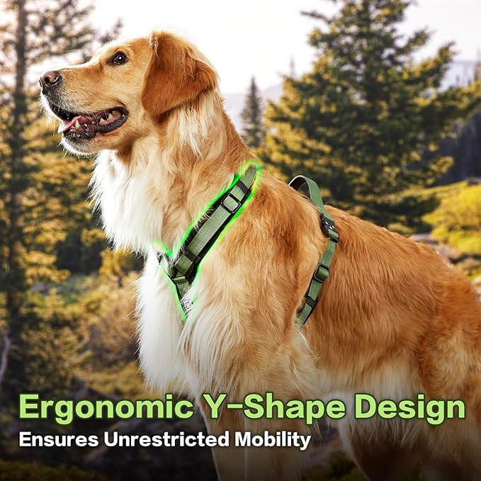 PawsPassion Dog Harness for X-Large Dogs, No Pull Dog Harness Easy Walk with Metal Hardware, Ergonomic Y-Shaped Design, Soft Padding, Padded Handle, Durable High-Tensile Nylon (Evergreen, XL)