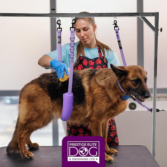 Prestige Elite - Set of 6 - Dog Groomers Helper Grooming Loops for Pet Groomers Adjustable Biothane Dog Grooming Loop, Belly Strap, Grooming Noose, Extension Strap & Suction Cups - Grooming Leash