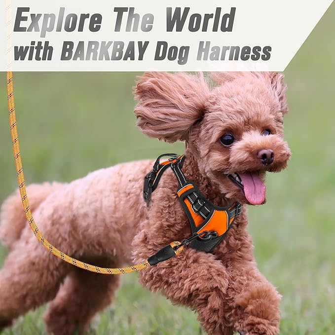 BARKBAY No Pull Dog Harness Front Clip Heavy Duty Reflective Easy Control Handle for Large Dog Walking(Orange,XS)