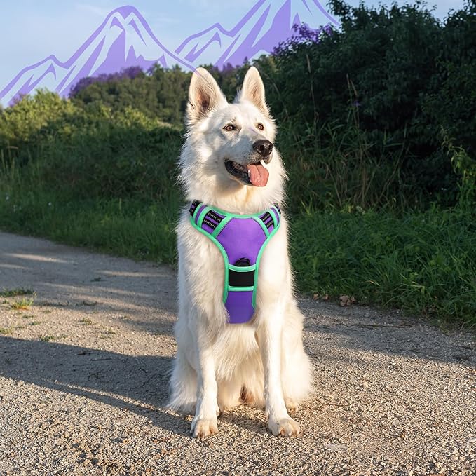 Eagloo Dog Harness for Large Dogs, No Pull Service Vest with Reflective Strips and Control Handle, Adjustable and Comfortable for Walking, No Choke Pet Harness with 2 Metal Rings, Purple & Green, XL