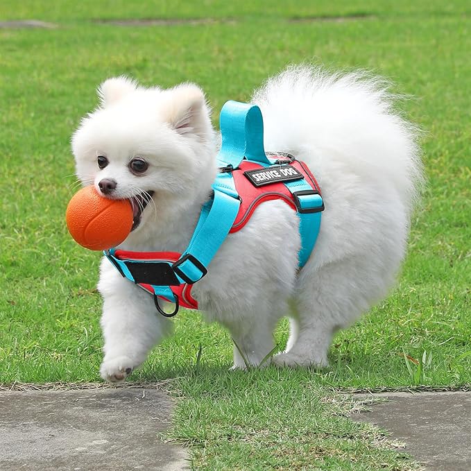 Demigreat Service Dog Harness, Reflective Dog Vest Harness with 5 PCS Patches, Adjustable Soft Oxford Pet Harness, Inner Layer Mesh, Easy to Control for Small Medium Large Dogs