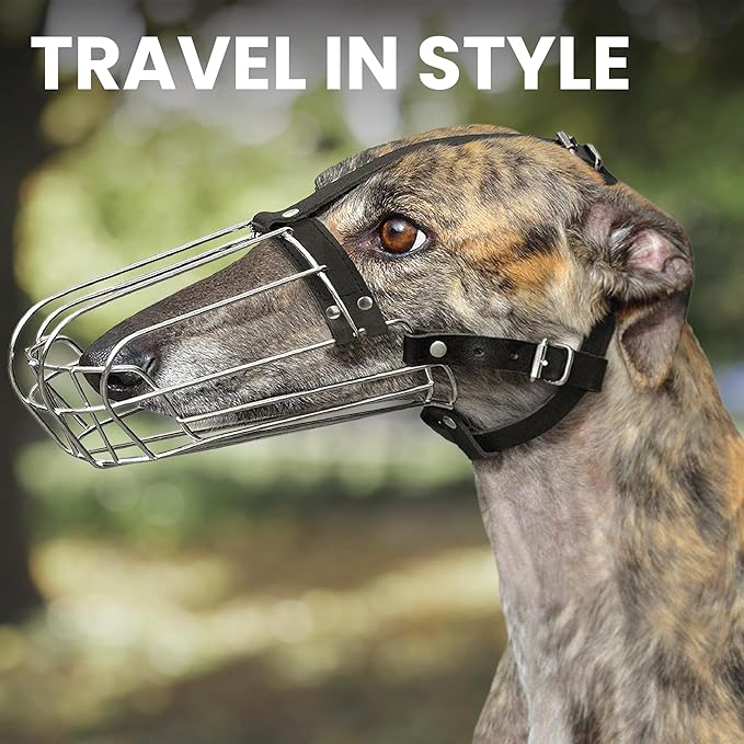 BRONZEDOG Dog Muzzle Wire Basket Metal Mask for Small, Medium and Large Dogs, Breathable, Dog can Drink, Adjustable, Padded, Training, Prevents Biting (Size 8: Greyhound & Collie)