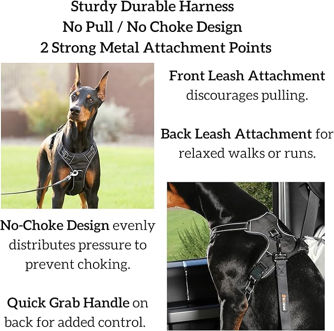4Knines No Pull Dog Harness for XL Dogs – Adjustable Reflective Harness with Front & Back Leash Clips – Padded for Comfort – Durable, Easy Control for Walks & Training (Black)