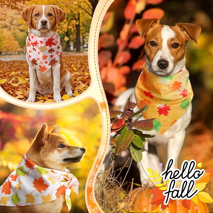 240 Pcs Thanksgiving Fall Bandanas Bulk for Dogs Autumn with Maple Leaves Pumpkin Patterns Soft Bibs Adjustable Triangle Doggie Scarf for Small Medium Large Costume 25.6 x 17.7 x 17.7 Inch