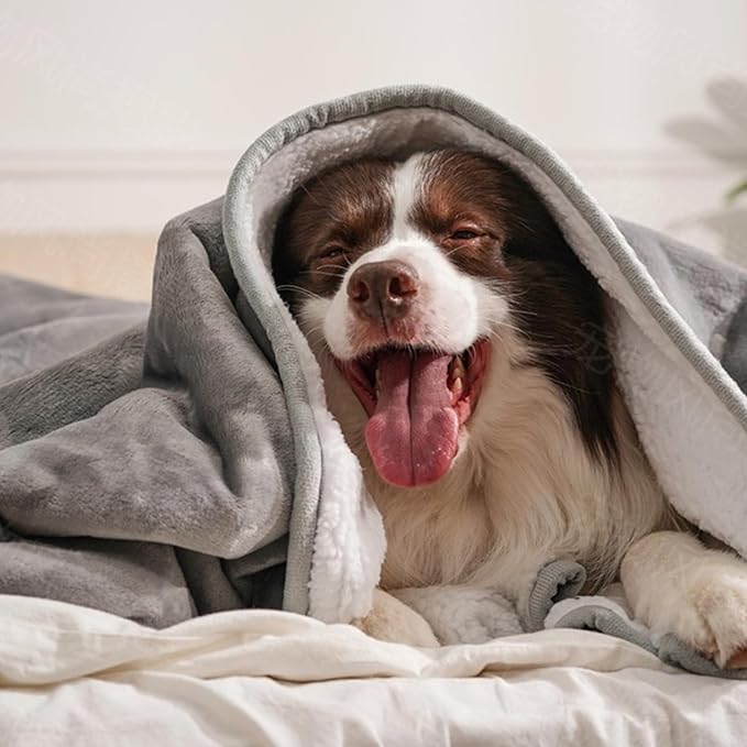 gogobunny Waterproof Pet Blanket for Small Dogs and Cats, Reversible Sherpa Fleece Soft Plush Throw for Couch Protection, Washable Furniture Protector (Grey, 30x30 inches)