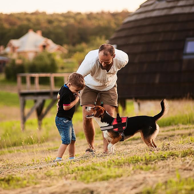 Dogline Dog Harness, Reflective No-Pull Adjustable Vest with Handle for Walking, Training, Service Breathable No - Choke Harness for Small, Medium or Large Dogs Room for Patches Girth 33"-46" in Red