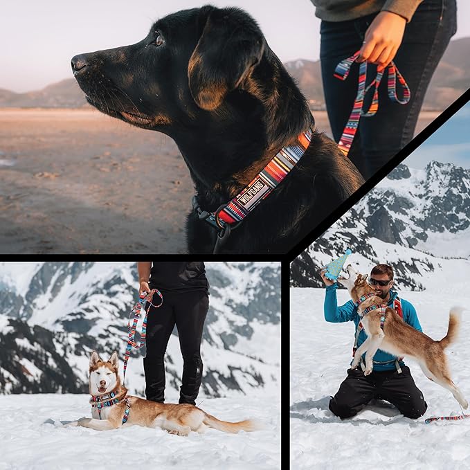 Wolfgang Heavy Duty Martingale Dog Collar with Quick Release Nylon Buckle for Walking & Training, Quetzal Print, Large